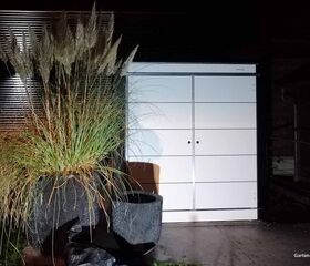 . Große Pflanze in einem dekorativen Topf vor einem weißen Schrank, nachts beleuchtet.