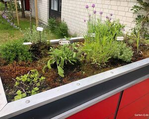 Erhöhtes Beet mit verschiedenen Kräutern: Minze, Salbei, Thymian und blühenden Pflanzen vor einem Gebäude.